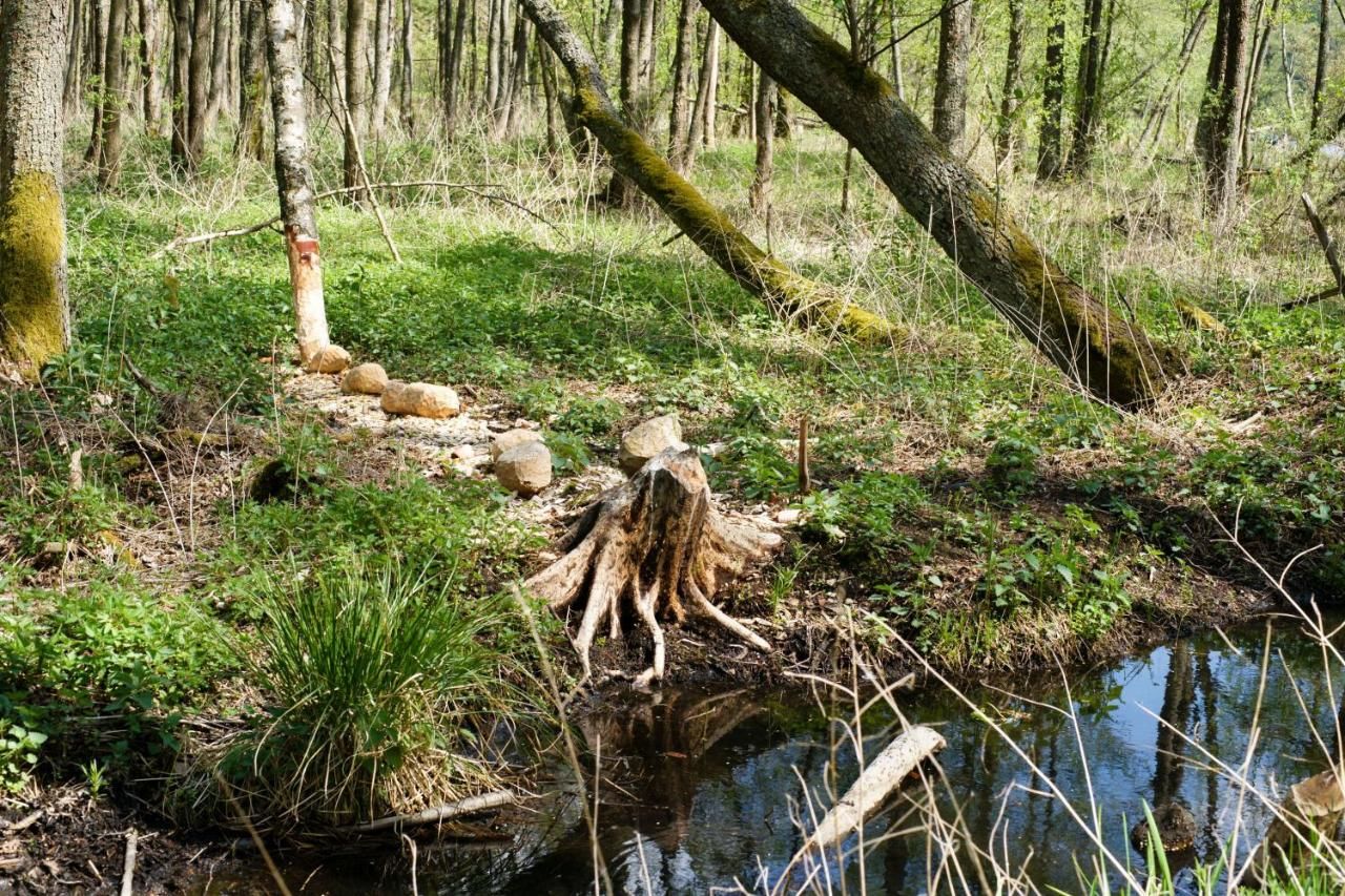 Виллы Chata Warmińska Łajs-40